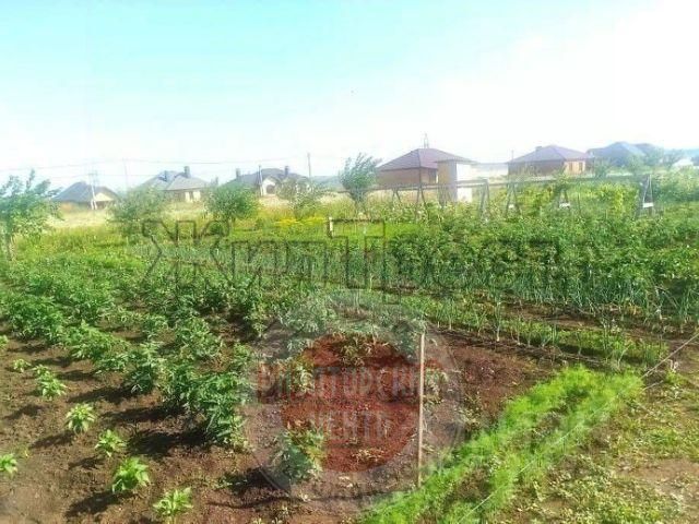 село Стрелецкое, Анисимова