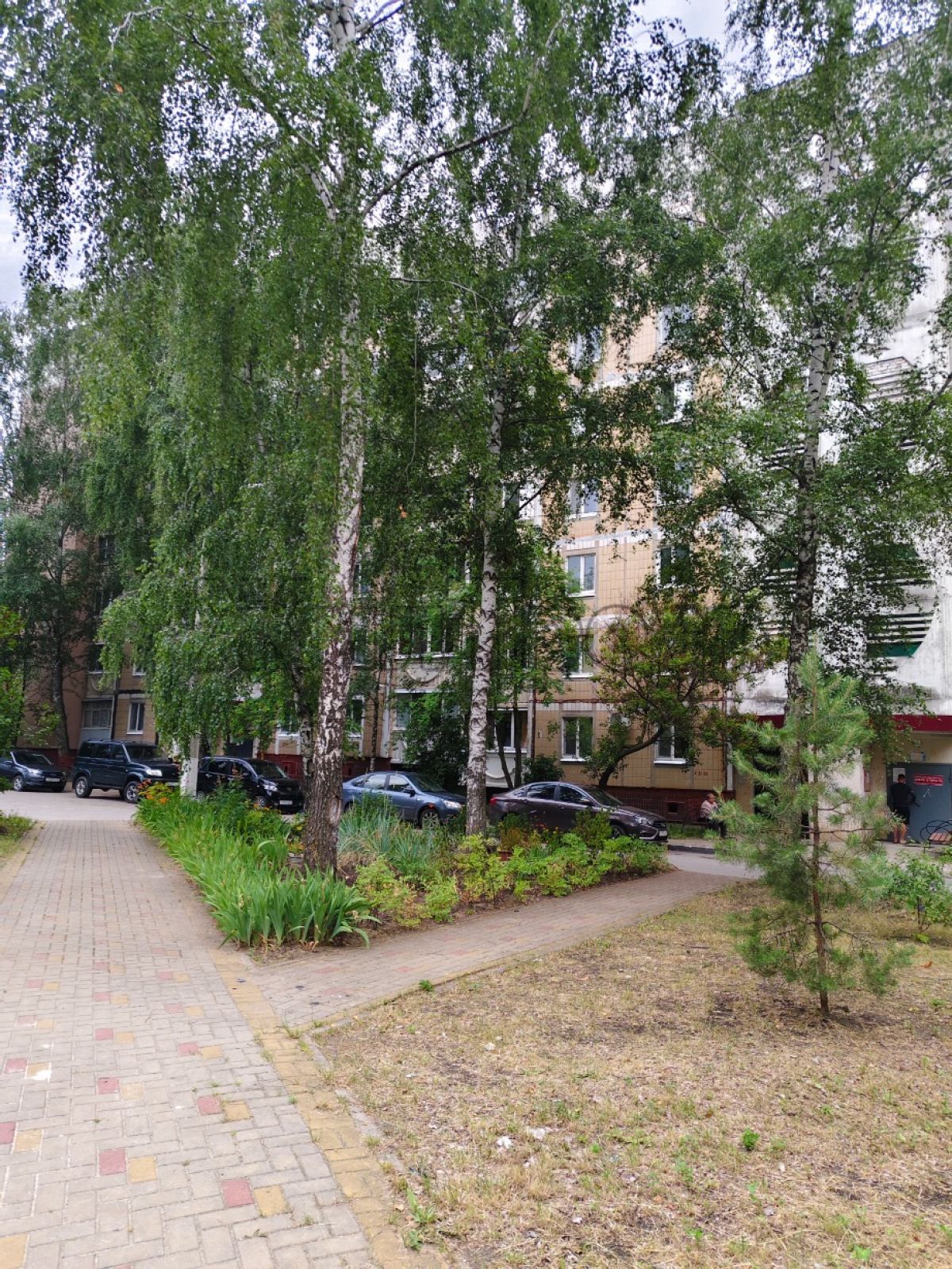 Белгород, Спортивная ул, 20