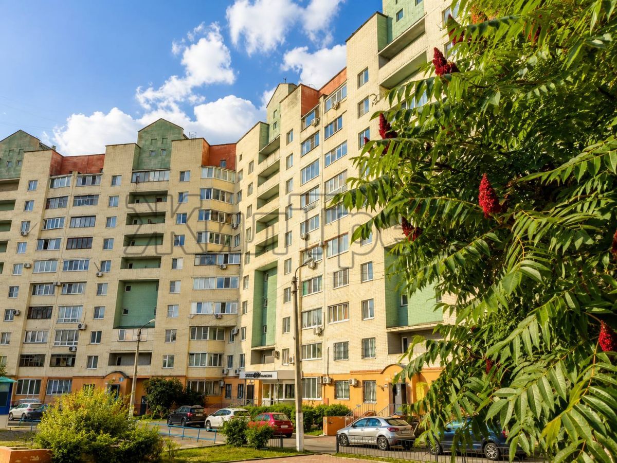 Белгород, Губкина ул, 16б